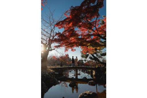 紅葉の鮮やかなコントラストが美しい１枚