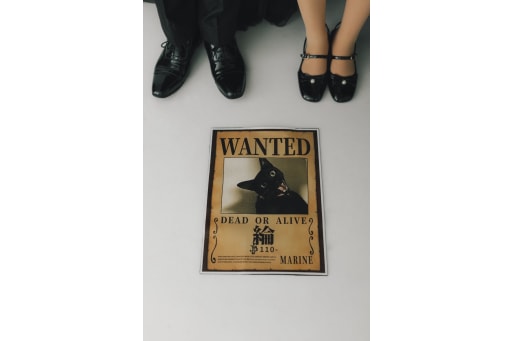 お二人の愛猫ちゃん