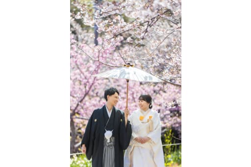 夢みたいな景色