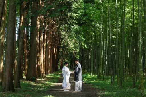  竹林で見つめ合うおふたり