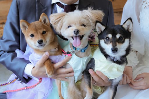 スリーショット