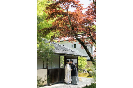 引きのお写真も