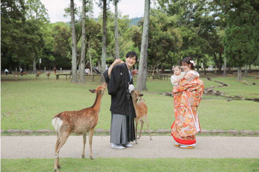 初めての鹿との遭遇