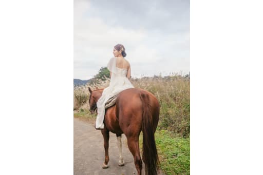 新婦様とお馬さん