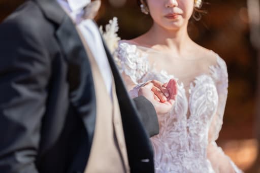 どんなドラマか、