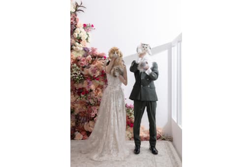 猫ちゃんたちでお顔隠し