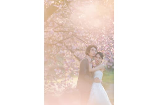 広い、河津の並木エリア