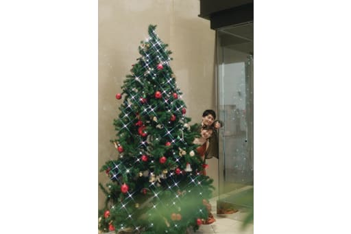 この日はクリスマス