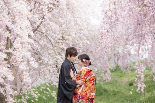 ピンク色の染められて