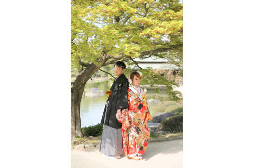 木漏れ日がいい感じです