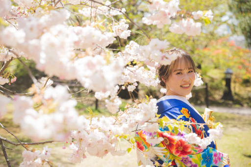 桜とも。
