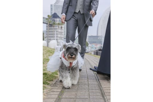 みんなでお散歩。パート3