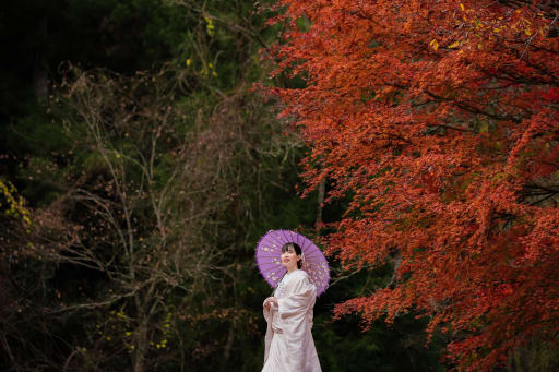 紅葉が綺麗で和装に合いました