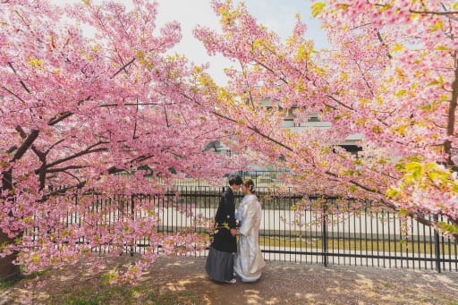 向かった先は淀川周辺