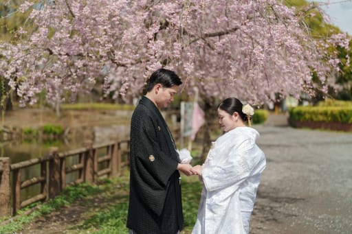 桜満開の公園で