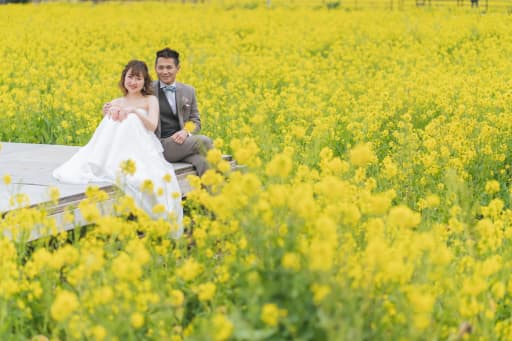 菜の花の真ん中で