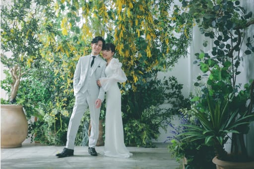 ミモザいっぱいの中で