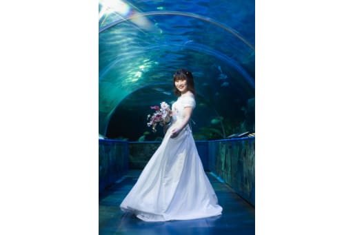 しながわ水族館ロケーション