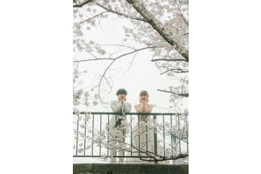 今度は桜の木の上から♪