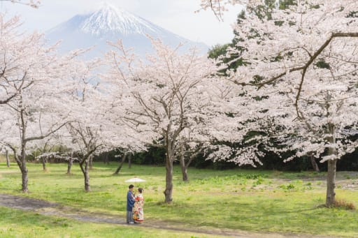 桜＋富士山の絶景ロケーションで