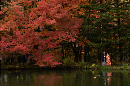  真っ赤に燃える紅葉