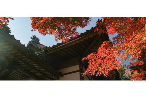 小諸城址懐古園の紅葉