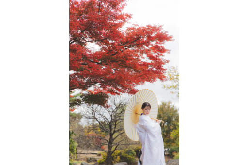 紅葉とイチョウ2