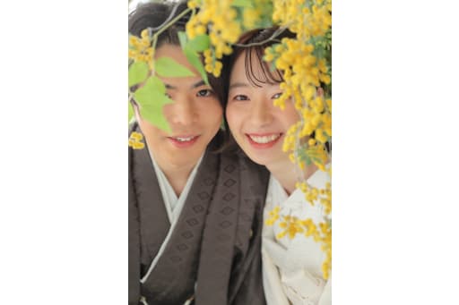 ミモザの隙間から