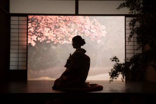 新婦様の影が美しく映し出される瞬間