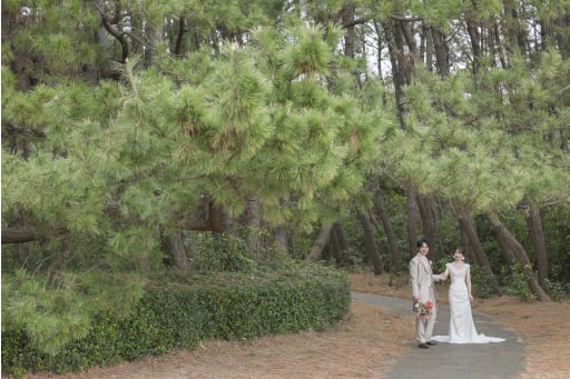 緑の中をお散歩。