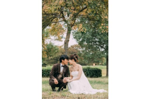 少し移動して気の近くに