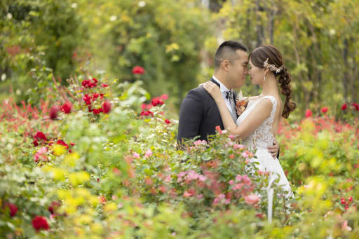 鼻と鼻をくっつけて