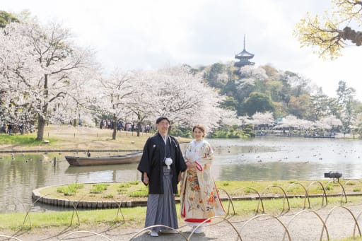 満開の桜の時期に三溪園で