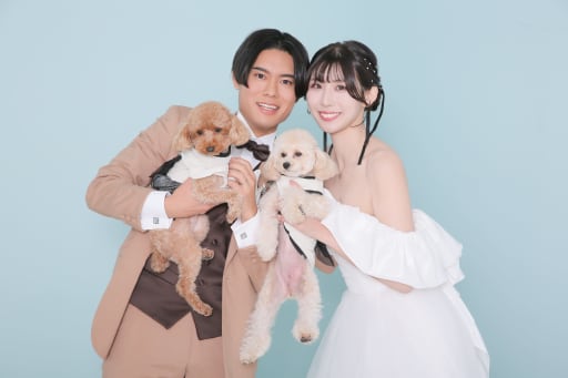 アップの写真も