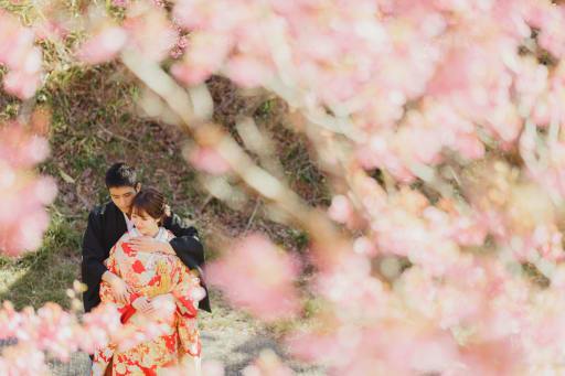 時期がずれるとお花が散ってしまうのでは？
