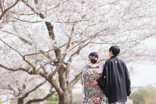 桜が満開の時期に撮影できました！