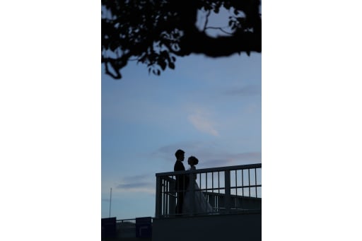 歩道橋と空と緑