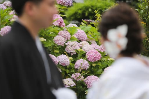 「紫陽花が綺麗だね」そんなおふたりの会話が聞こえてくるような１枚に。