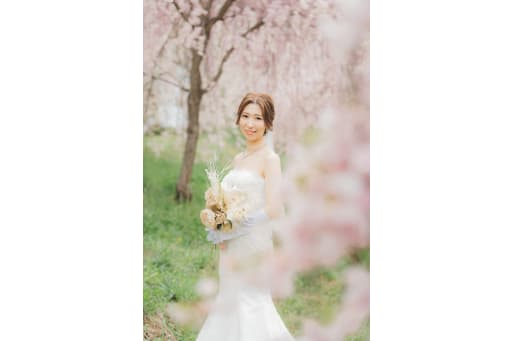 軽井沢の桜3