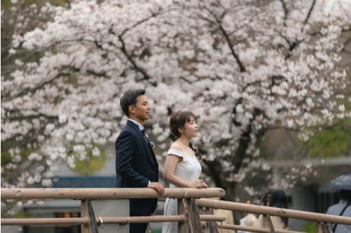 橋の上から