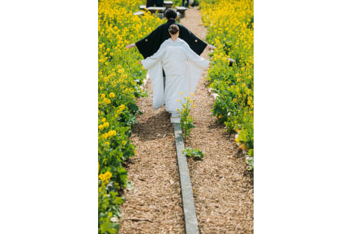 春風を感じながら