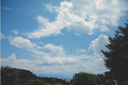 この日の天気はめちゃくちゃにいい天気。