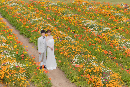 まずは花さじきから！