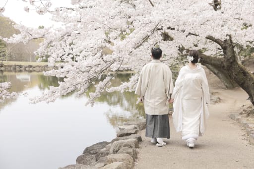 帰り道は桜のトンネルを通ります！