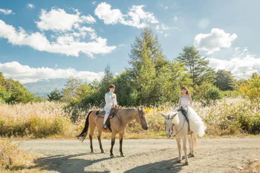 ススキの野原で