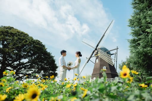 夏の詰め合わせ
