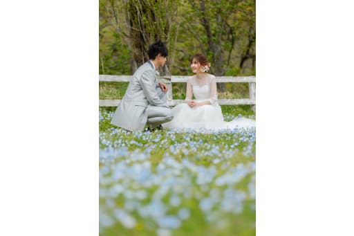 青い小さな花びらがかわいいネモフィラと。