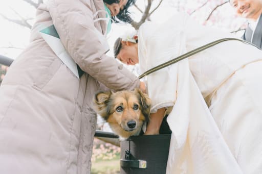 愛犬と撮影