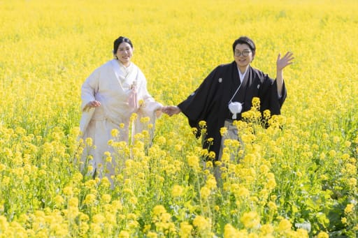 一面の菜の花と