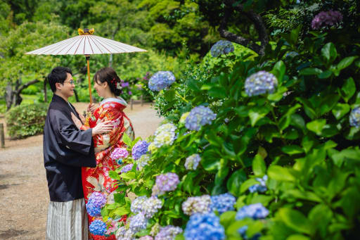 紫陽花